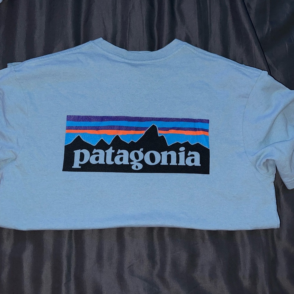 Patagonia T shirt, size medium